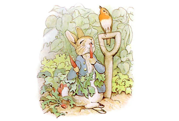 THE TALE OF PETER RABBIT peter-rabbit-1 (1)