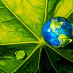 Mother Earth’s Pain: Poem by Austin Ajit 800wm