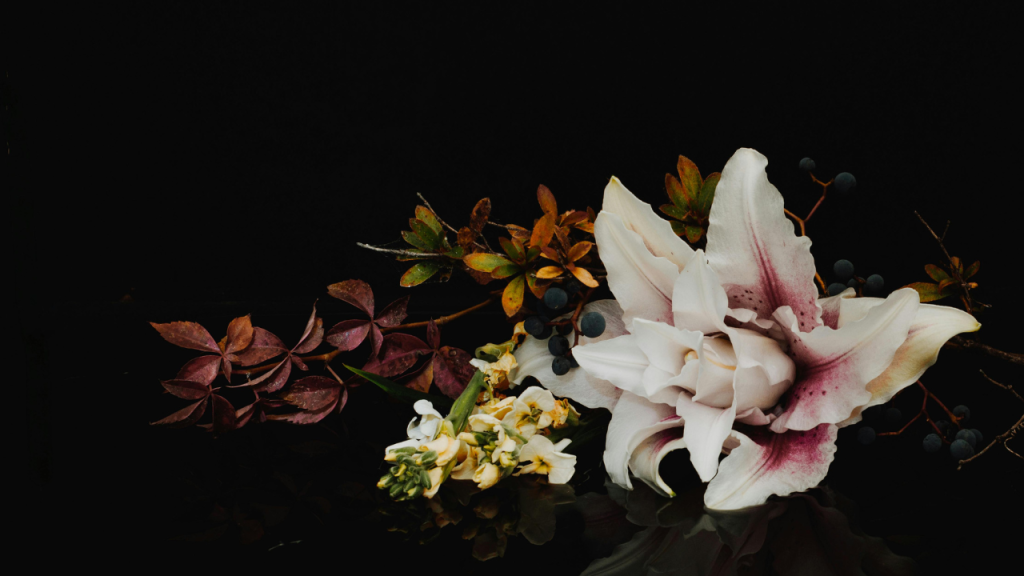 Death Is Not the End: Finding Peace After Loss